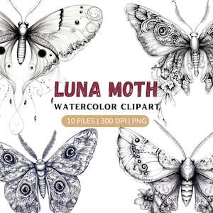 May include: A set of 10 black and white digital illustrations of luna moths. The moths are intricately detailed with floral patterns and have large, prominent eyes. The text "LUNA MOTH WATERCOLOR CLIPART 10 FILES | 300 DPI | PNG" is displayed below the moths.