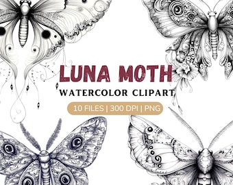 Luna moth clipart bundle, line art moth png, celestial moth coloring pages, fantasy moth, black and white moth, floral moth clipart,download