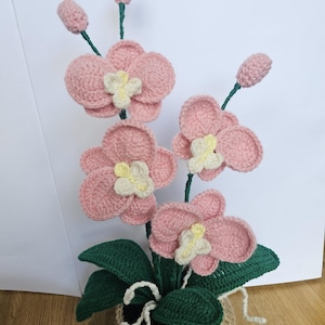 Op de afbeelding: Een gehaakte orchideeplant met drie grote roze bloemen met crèmekleurige centra, drie kleine roze knoppen op groene stelen en donkergroene bladeren. De plant staat in een gestructureerde, lichtbruine gehaakte pot met wit garen.