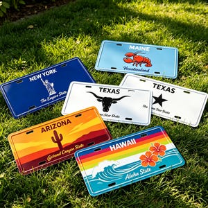 Puede incluir: Una colección de seis placas de matrícula rectangulares de metal que representan varios estados de EE. UU., incluyendo Nueva York con la Estatua de la Libertad, Maine con una langosta roja, Texas con un longhorn o estrella, Arizona y Hawái.