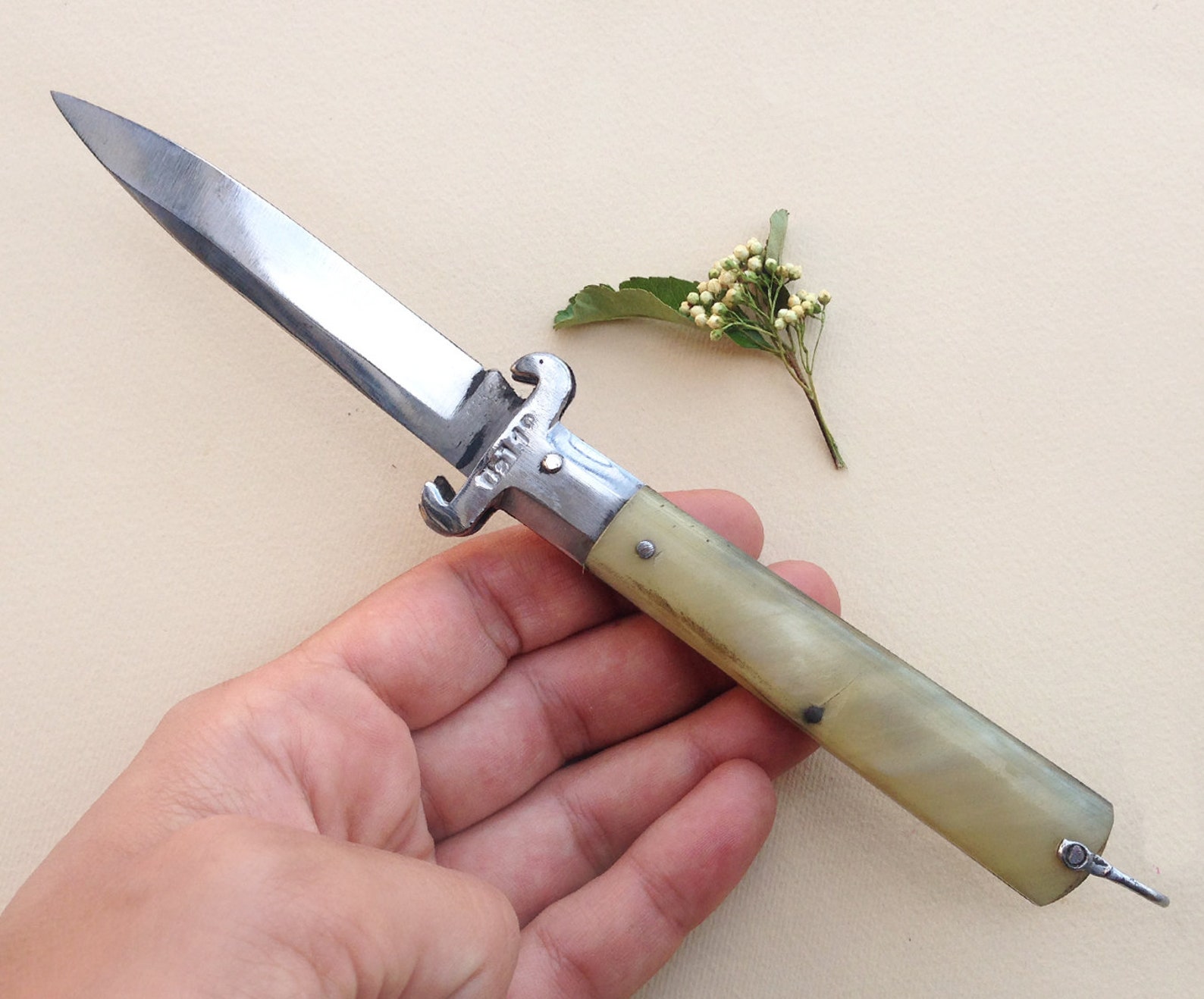 Rare 1920 Italian pocket Knife / Antique horn handle Frosolone Etsy