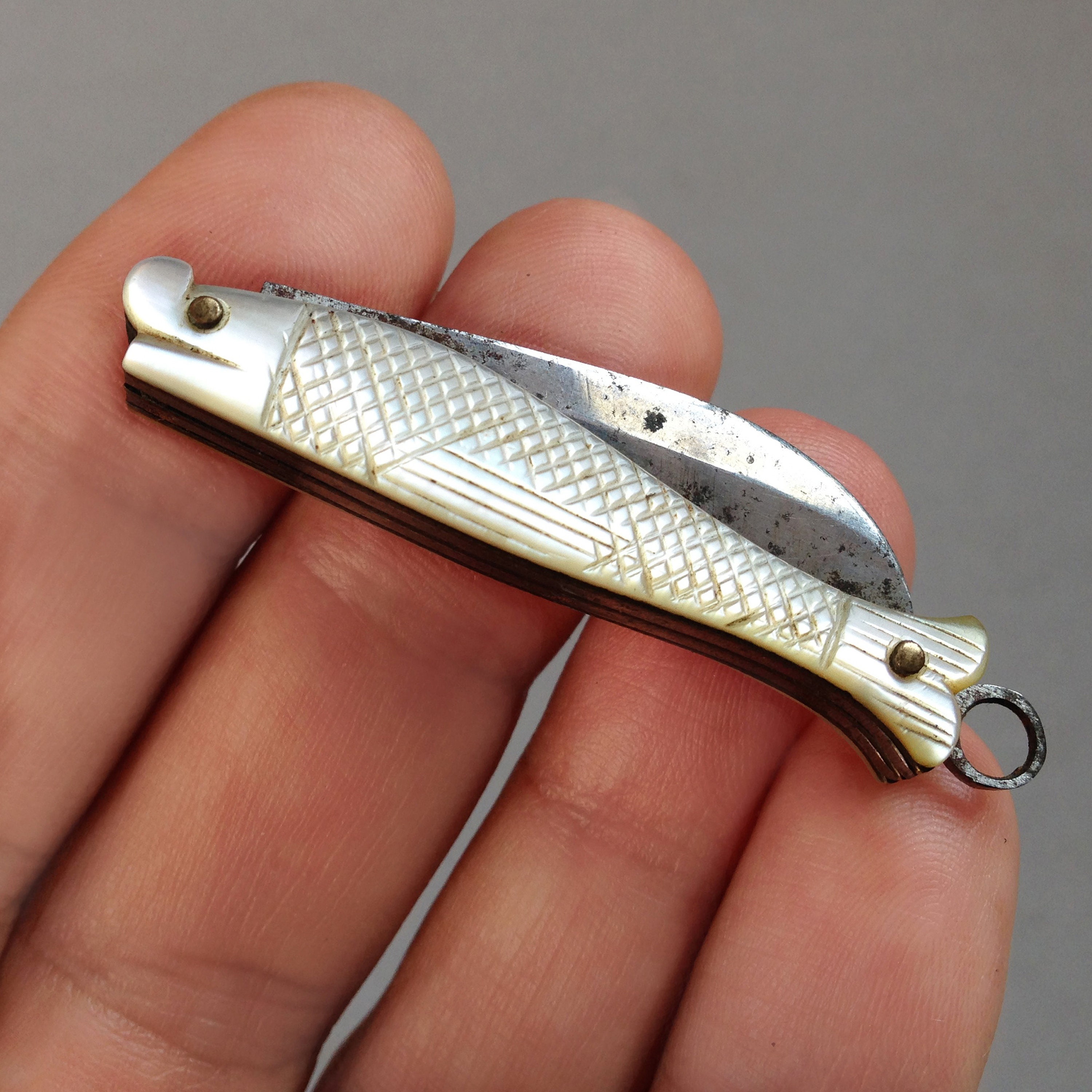 Antique Tiny Novelty Folding Knife / Unusual Late 1800 Steel 