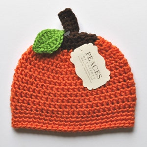 Pumpkin Baby Hat (skull cap beanie)