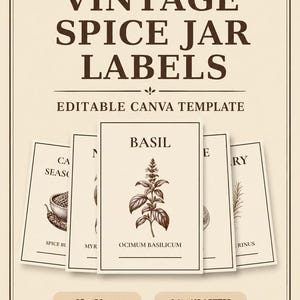 May include: A digital Canva template featuring 60 vintage spice jar labels with botanical illustrations. The design includes text such as VINTAGE SPICE JAR LABELS, BASIL, and OCIMUM BASILICUM. Labels measure 35 x 50 mm, available in A4 and US Letter sizes.