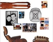 An Eames Primer by Eames Demetrios 2002 Mid Century Modern Charles Ray Furniture Design book