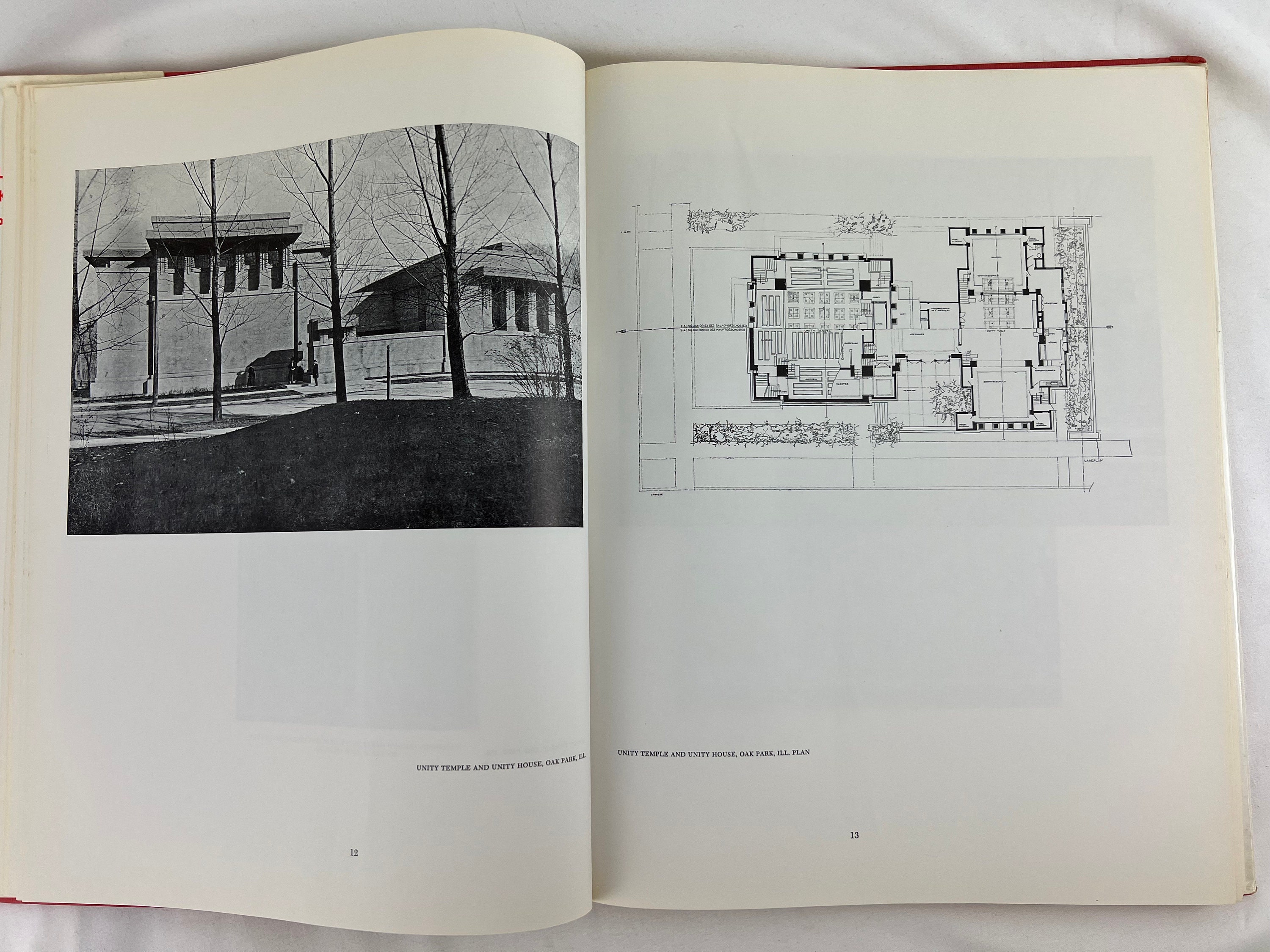 il_fullxfull.4134642525_bw1n.jpg