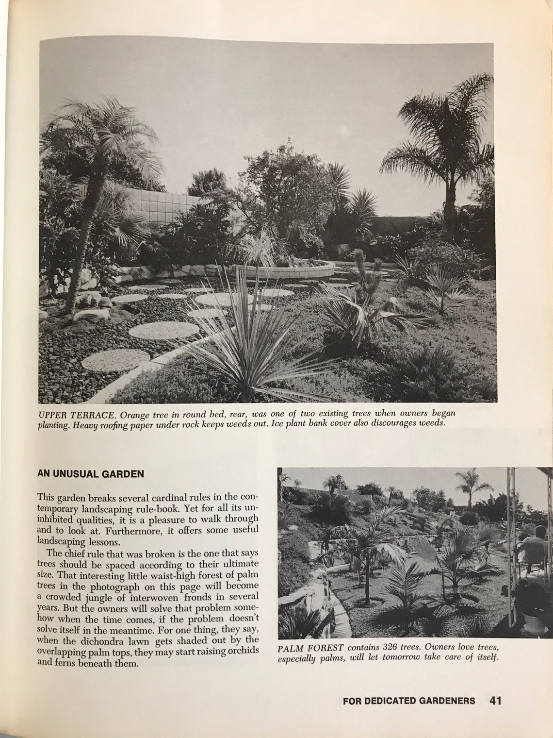 Sunset Landscaping Book 1968 Mid Century Modern Landscape Architecture ...