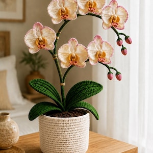 Könnte beinhalten: Eine handgefertigte Häkel-Orchidee mit cremefarbenen Blütenblättern, rosa Rändern und gelb-orangen Zentren. Die Pflanze hat dunkelgrüne Blätter und steht in einem strukturierten, cremeweißen Häkeltopf mit brauner Erdnachbildung.
