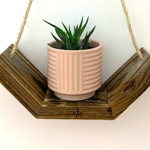 Hanging Plant holder, Rustic wood wall shelf, small shelf, small wall shelf, plant holder, plant shelf, mothers gift, gift for teen, shelf image 5