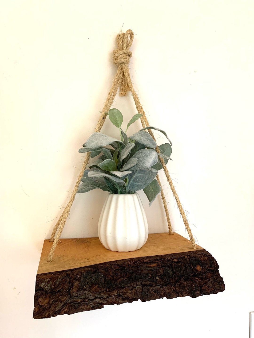 Plant Holder, Live Edge Wood Wall Hanging, Wooden Wall Plant Holder ...