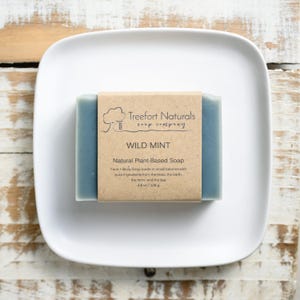 Wild Mint Soap - Handmade soap, Cold Process, All Natural soap, vegan soap, essential oil soap