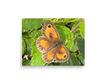 Lámina macro de la mariposa guardiana / Arte mural de naturaleza / Póster fotográfico de insectos