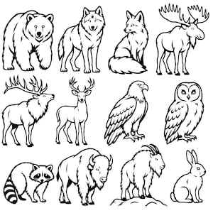 May include: A collection of twelve black and white line art illustrations featuring North American wildlife, including a bear, wolf, fox, moose, elk, deer, eagle, owl, raccoon, bison, mountain goat, and a rabbit, all depicted in a clean style.