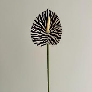 May include: An artificial anthurium flower featuring a heart-shaped spathe with a black and white zebra stripe pattern and a pale yellow spadix. The flower is attached to a long, slender, green plastic stem with visible segmented joints.