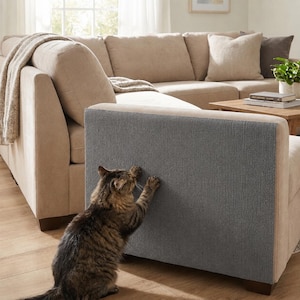 May include: A rectangular grey fabric cat scratching pad attached to the side of a beige upholstered sofa. The textured material covers the lower portion of the sofa arm, providing a vertical surface for a brown tabby cat to sharpen its claws.