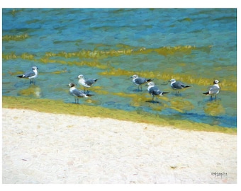 Seagulls on Beach, Seagull Painting, Seagull Art, Seashore Art, Seascape, Shore Birds, Beach Decor, Coastal Art, Coastal Wall Decor, KORPITA
