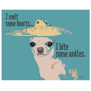 Funny hotsell chihuahua sayings
