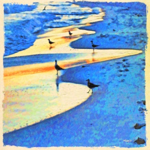 May include: A painting of a beach scene with five seagulls standing on the sand. The sand is a light yellow color and the water is a bright blue. The sky is a light blue color. The painting is done in a style that resembles a watercolor painting.