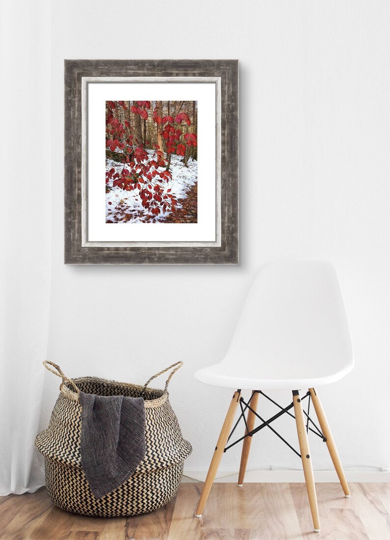 May include: A framed print depicting a forest scene with striking red leaves set against trees and snow. The artwork hangs on a white wall, alongside a white chair and a woven basket containing a grey blanket.