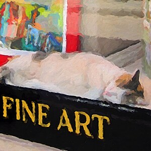Pu&ograve; includere: Un gatto bianco con macchie marroni e nere sta dormendo su un cartello nero che recita "Shop of Fine Art".