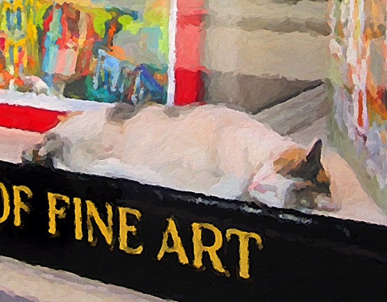 Pu&ograve; includere: Un gatto bianco con macchie marroni e nere sta dormendo su un cartello nero che recita "Shop of Fine Art".
