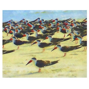 Black Skimmer Print, Skimmer Art, Sea Birds, Seagull Print, Seascape, Black Skimmer Painting, Shore Bird Art, Beach, Coastal Art, KORPITA