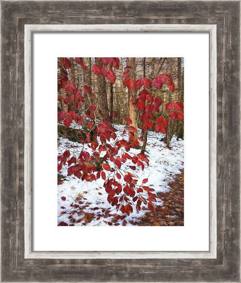 May include: A framed art print depicting a forest scene with vibrant red leaves and snow. The artwork is presented in a rustic, grey wooden frame. The image showcases the contrast between the red leaves and the snow-covered ground, creating a seasonal feel.