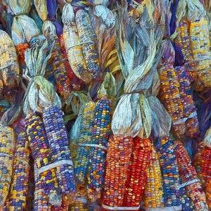 Indian Corn Print, Autumn Print, Fall Colors Art, Colorful Corn Art, Fall Print, Autumn Painting, Fall Colors, Fall Harvest Art, KORPITA