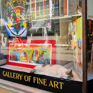 Pu&ograve; includere: Una vetrina di un negozio con un cartello che recita "GALLERY OF FINE ART". La vetrina &egrave; piena di opere d'arte colorate e un gatto bianco dorme su uno scaffale.