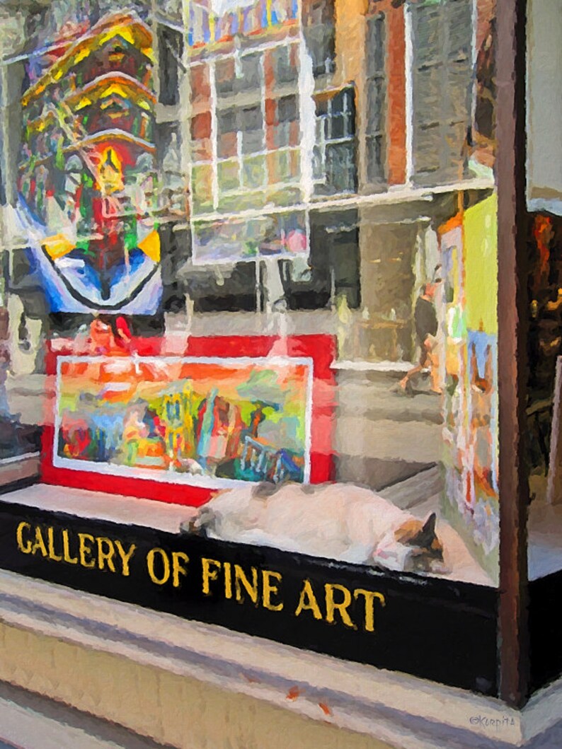 Pu&ograve; includere: Una vetrina di un negozio con un cartello che recita "GALLERY OF FINE ART". La vetrina &egrave; piena di opere d'arte colorate e un gatto bianco dorme su uno scaffale.