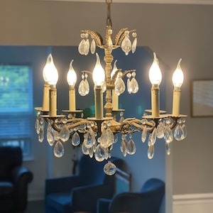 8 Arm Chandelier 