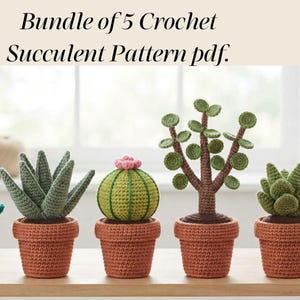 Crochet Succulent Pattern PDF | Beginner No-Water Plant Collection | Cactus Jade Echeveria Bundle | Clay Pot Included | Instant Download