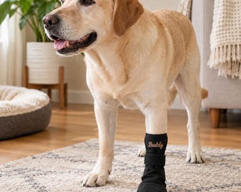 Bota protectora personalizada para patas de perro, botín para mascotas con nombre personalizado, funda antideslizante ajustable para patas, bota para perros para interiores y exteriores.