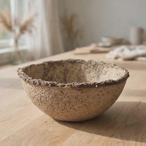Può includere: Un oggetto rotondo a forma di ciotola con un esterno ruvido e strutturato e un bordo spesso e irregolare. La superficie ha un aspetto maculato color beige e marrone terroso, che ricorda la pietra naturale o materiale organico compresso.