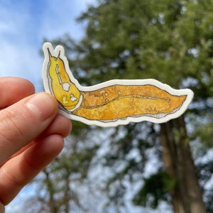 Banana Slug Watercolor Matte Vinyl Sticker
