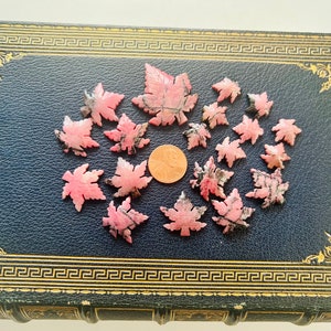 May include: A collection of pink and white carved gemstone maple leaves arranged in a circle on a dark blue book cover.