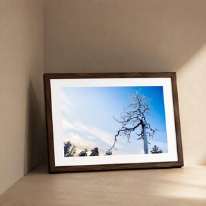 May include: A framed landscape photograph featuring a solitary, bare, frost-covered tree against a bright blue sky with wispy clouds. The print is encased in a dark brown wooden frame with a wide white mat border, displayed in a corner setting.
