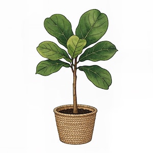 May include: A potted fiddle leaf fig plant with large, dark green, oval-shaped leaves and a slender brown stem. The plant is housed in a tan, woven basket-style pot with a textured, braided pattern and visible dark brown soil at the top.