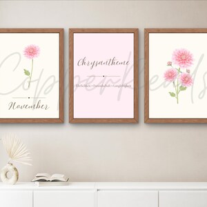 Könnte beinhalten: Drei gerahmte Wandbilder mit Holzrahmen. Das linke Bild zeigt eine rosa Chrysantheme und den Text November. Das mittlere Bild enthält den Text Chrysantheme und deutsche Wörter. Das rechte Bild zeigt eine Gruppe rosa Chrysanthemen.