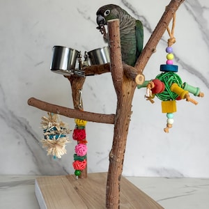 May include: A bird perch stand made of natural wood branches on a rectangular wooden base. It features two stainless steel cups, a hanging toy with colorful wooden beads and a green woven ball, and a dangling toy with raffia and small spheres.