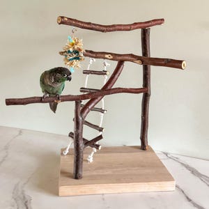 Op de afbeelding: Een vogelstandaard gemaakt van natuurlijke bruine boomtakken op een lichtgekleurde houten voet. De constructie is voorzien van een witte touwladder met houten sporten en een klein hangend speeltje van beige en blauw vezelmateriaal.