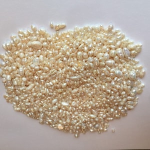  Small Seed Pearls White Simulated Pearl Bridal Embroidery Beads  Pack of 500 Made in Japan : Arts, Crafts & Sewing