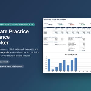 Strumento di monitoraggio finanziario per studi privati di terapeuti, registro delle sedute, percentuale di assenze (Excel e Fogli Google)