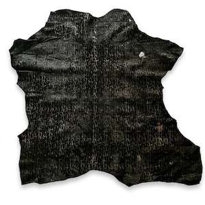 Könnte beinhalten: Ein schwarzes Tierfell mit einer ausgeprägten, rissigen und verwitterten Textur auf der Oberfläche. Das Material weist ein dunkles, ungleichmäßiges Finish mit helleren, gräulich-weißen, aderartigen Mustern auf der gesamten organischen Form auf.