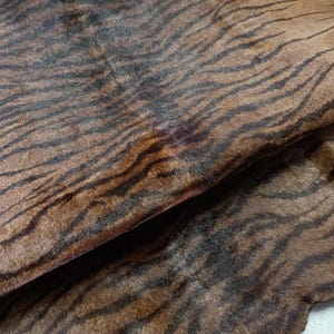 Peut inclure: Une pièce de peau animale présentant une texture à poils ras avec une couleur de base brune et des rayures semblables à celles d'un tigre, allant du brun foncé au noir. Le matériau est replié sur lui-même, révélant des bords irréguliers.