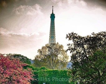 Jardin des Tuileries,Eiffel,Paris France,Paris Gift,Paris Print,Paris Photo,Tuleries Garden,Jardin Tuleries,francophile gift,Tuleries gift