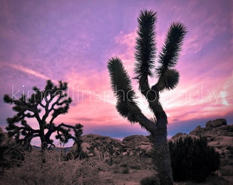 Joshua Tree Print,Joshua Tree,Desert Print,Joshua Tree Prints, Joshua Tree Photo,Joshua Tree Art, Joshua Tree gift, National Park