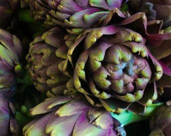 Artichokes 2, Fine Art Photo,vegetable print,vegetable decor,kitchen decor,artichoke print,artichoke photo,vegetable photo,food photography