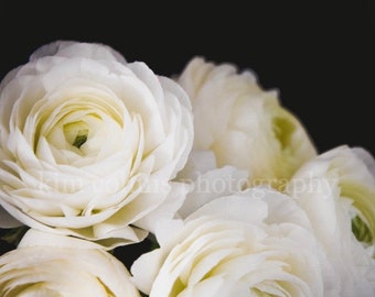 White Ranunculus Print, Floral Fine Art Photography, Botanical Wall Decor