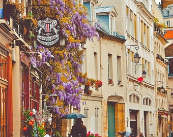 Paris Street Photography Print, Wisteria, Francophile Gift